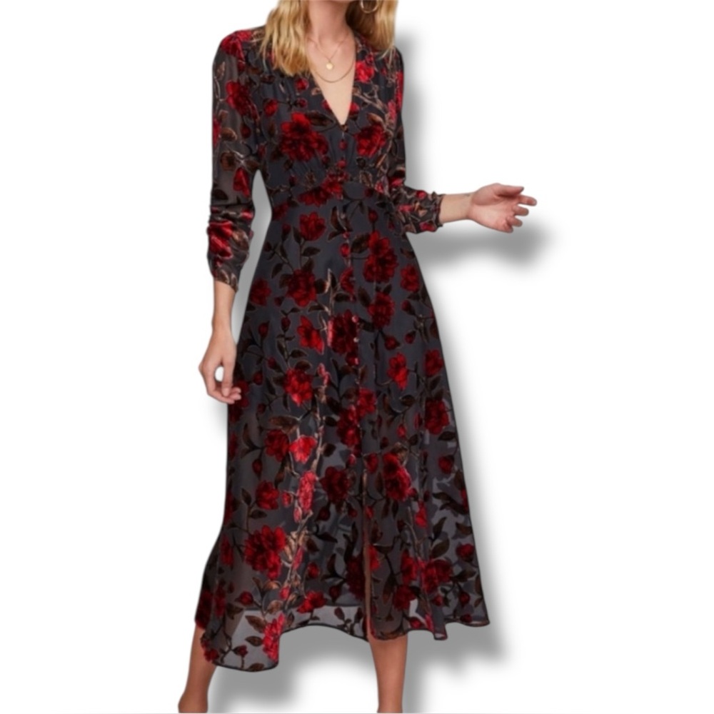 ASTR the Label Jalisca chic Floral Velvet Burnout long sleeve v-neck Midi Dress